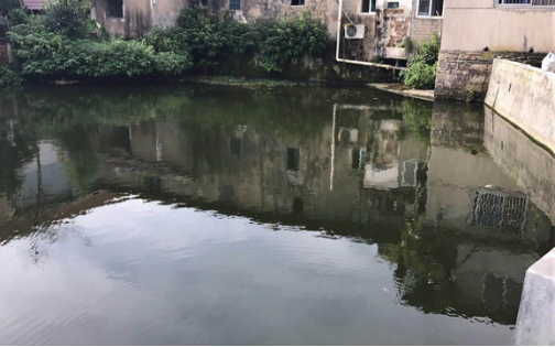 杭州建德市西湖村西湖公园边水塘改造工程